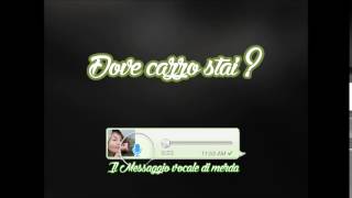 Il Messaggio Vocale Di Merda - 002 Dove Cazzo Stai ?