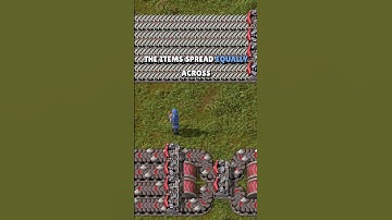 Factorio tips: Balancer basics.