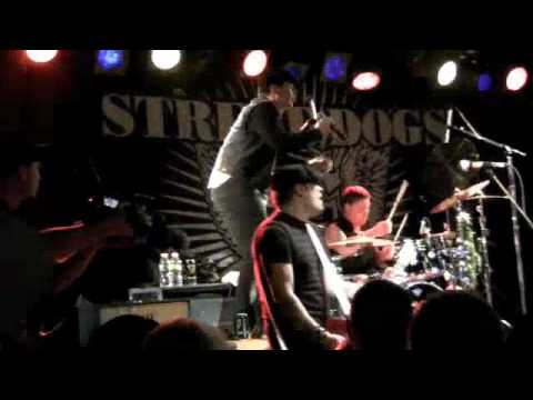 Putar Not Without A Purpose (Live) - Street Dogs