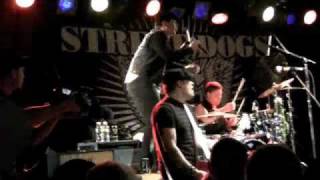 STREET DOGS: &quot;Not without a Purpose&quot; (Wreck the Halls, The Paradise, Boston 12/19/09)