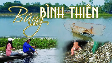 Búng Bình Thiên mùa cá về | Khám phá An Giang