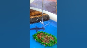 Ocean magic by Ultra Clear Resin by MAGNIFICO ❤️ #art #resin #resinart #resincrafts #resincast