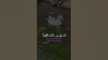 تلاوة خاشعة ❤#تلاوة_خاشعة #تلاوة_هادئة #تلاوة_قصيرة #تلاوة_قصيرة #تلاوة