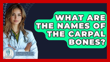 What Are The Names Of The Carpal Bones? - Orthopedic Support Network