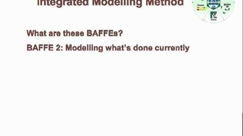 Five Fatal Errors for Business Analysts