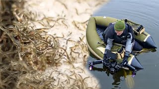 600000 টাকা কিলো এই মাছ কোথায় পাওয়া যায় দেখুন।Expensive European Angulas Baby Eels Production screenshot 2