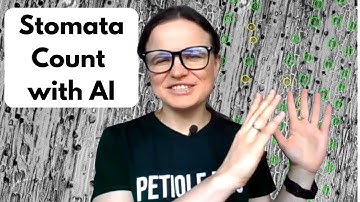AI Stomata Counter: Free Online Tool to Count Leaf Stomata from Microscope Images DEMO