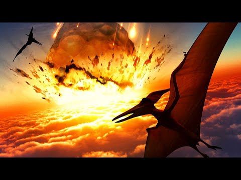 Video: Ar dinozaurai išnyko?