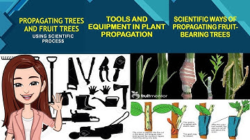 EPP/TLE 6 - AGRI Propagating Tress and Fruit Bearing Trees Using Scientific Process