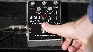 Spaceman Effects WOW Signal Fuzz Demo