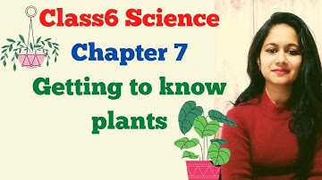 Class6th Science chapter 7 Getting to know Plants part 2 full explanation हिंदी में