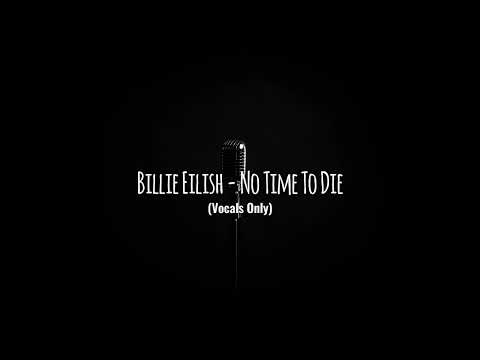 Billie Eilish No Time To Die Acapella Vocals Only 