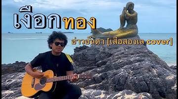 เงือกทอง   วงอ่าวอันดา【เสือสองเล COVER】