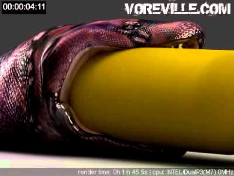Voreville's Snake Vore Monster Animation Test 01