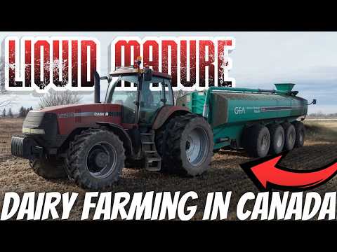 Tractor Gets Covered By Liquid Manure Spreader! 😱