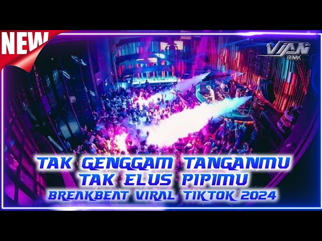 DJ TAK GENGGAM TANGANMU TAK ELUS PIPIMU X MANGAN RA NJALUK KOWE BREAKBEAT VIRAL TIK TOK 2024 class=