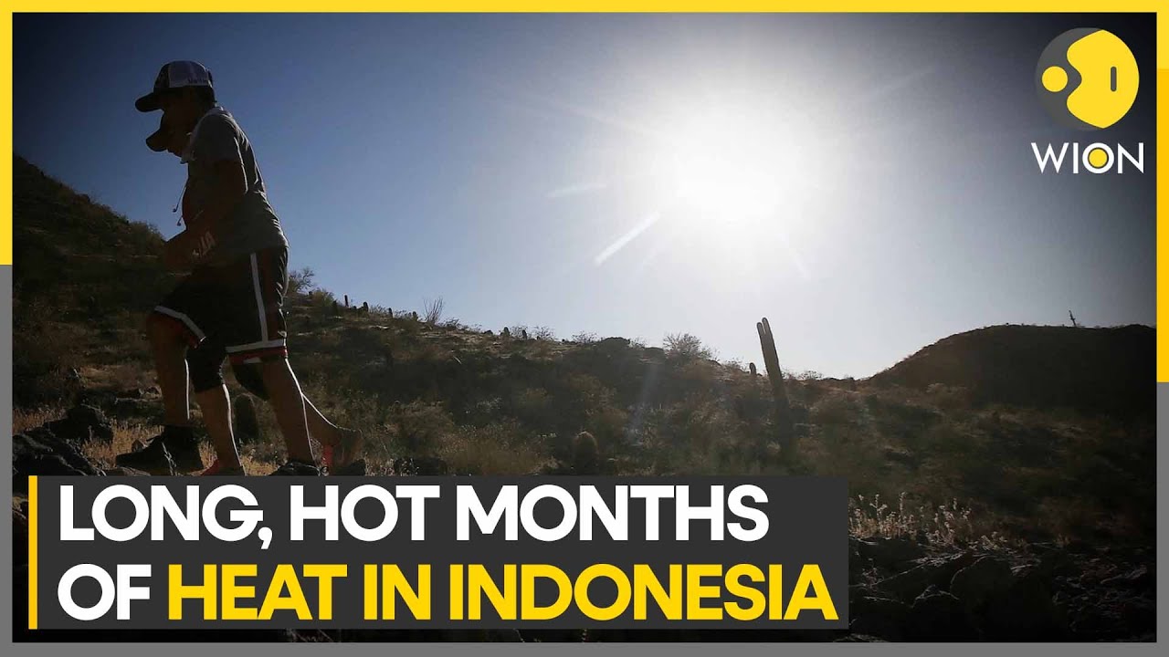 Village sees zero rain as drought parches Indonesia | WION Climate Tracker