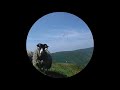 The Tuss Confederation Trough Full EP The Tuss Confederation Trough Full EP