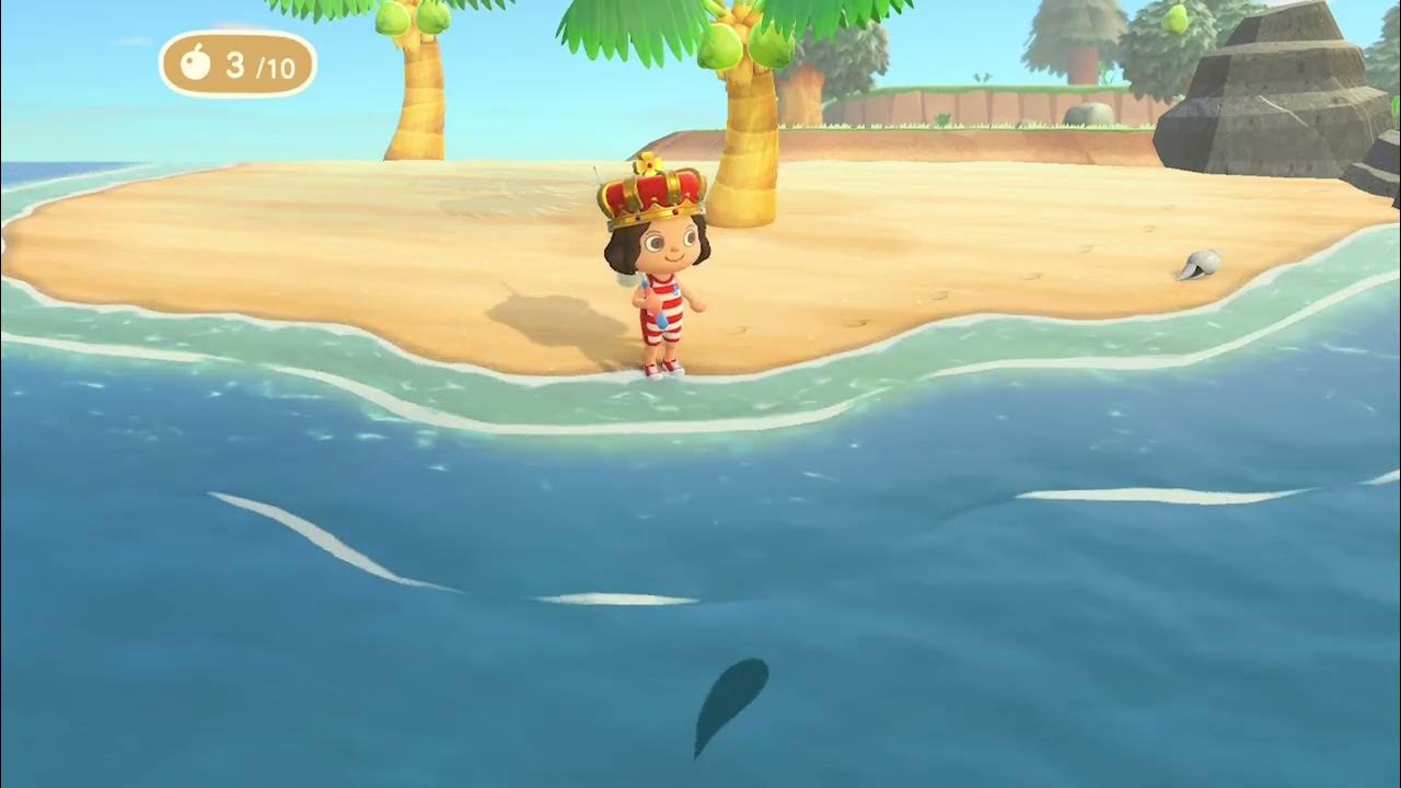Animal Crossing New Horizons Fishing Catching a RARE Napoleon Fish YouTube