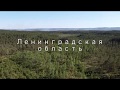 DJI Mavic Mini Ленинградская область (c квадрокоптера)