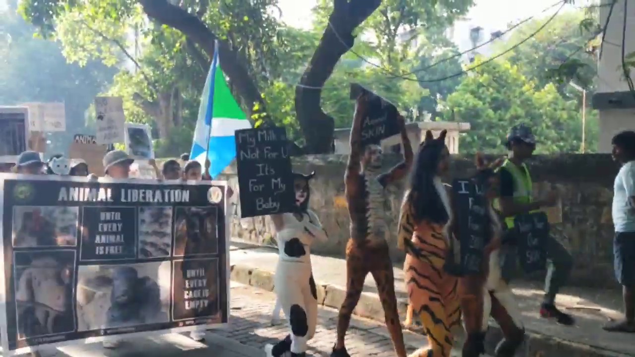 Animal Right March