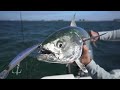 Trolling Saint Pete Beach for Bonito Tuna and Mackerel