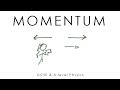 Momentum - A-level & GCSE Physics