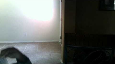 splitsecond code SEE NOW