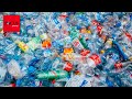 Forscher entdecken Turbo-Plastikfresser auf Leipziger Friedhof