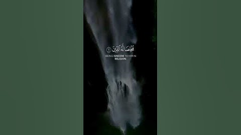 آيتين في 20ثانيه للقارئ- أنس عقيل