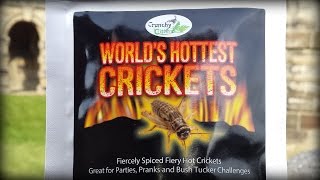 World's Hottest Crickets by Crunchy Critters Review