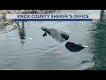 Woman drunkenly drives car into pond Friday in Knox County