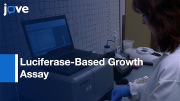 Luciferase-Based Growth Assay to measure chemical inhibitor efficiency | Protocol Preview