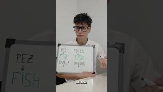 El Inglés - SINGULAR = PLURAL