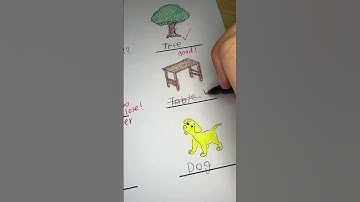 Grading Chad’s Test… #test #school #teacher #professor #correction #asmr