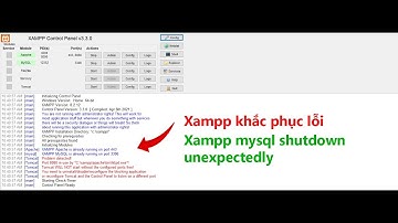 Cách khắc phục lỗi xampp mysql shutdown unexpectedly nhanh nhất