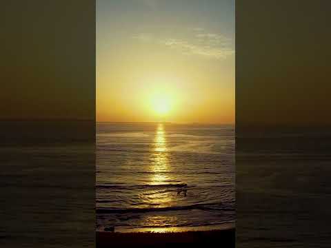 Sea Sun ♡