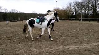 Travail En Longe Avec Végas