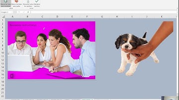 Quitar el fondo de una imagen en Excel con varios tonos