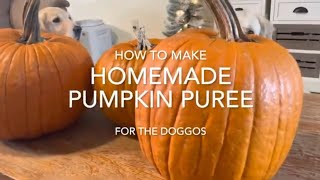 How to Make Homemade Pumpkin Purée for Dogs