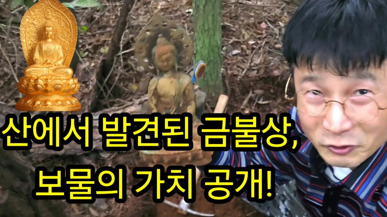산에서 발견된 금불상보물의 가치' 공개!/ 금속탐지기, 탐험, 탐사, 여가생활, 취미생활, 보물찾기, #metaldetecting #metal