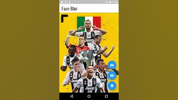 Flutter Face Blur App using Flask OpenCV as backend