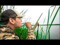 Duck Hunting in a FLOODED Field!!! (LIMITED OUT)