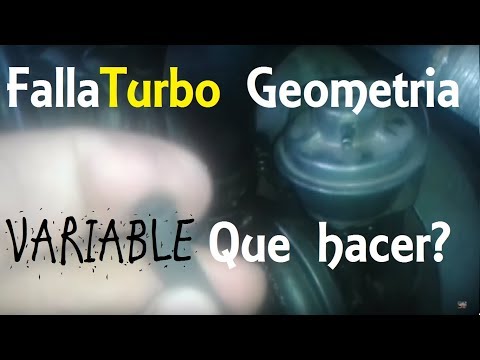 Como FUNCIONA el