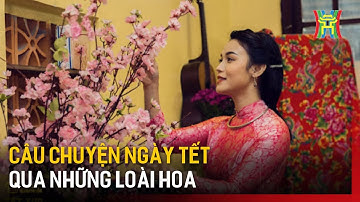 Câu chuyện ngày Tết qua những loài hoa | Hà Nội 18:00