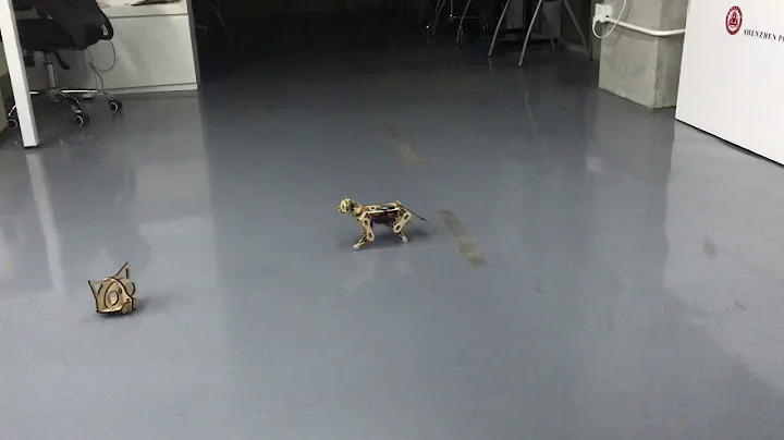 Unleash Your Inner Cat Scientist | Programming Fun with the Petoi Nybble | PetoiCamp