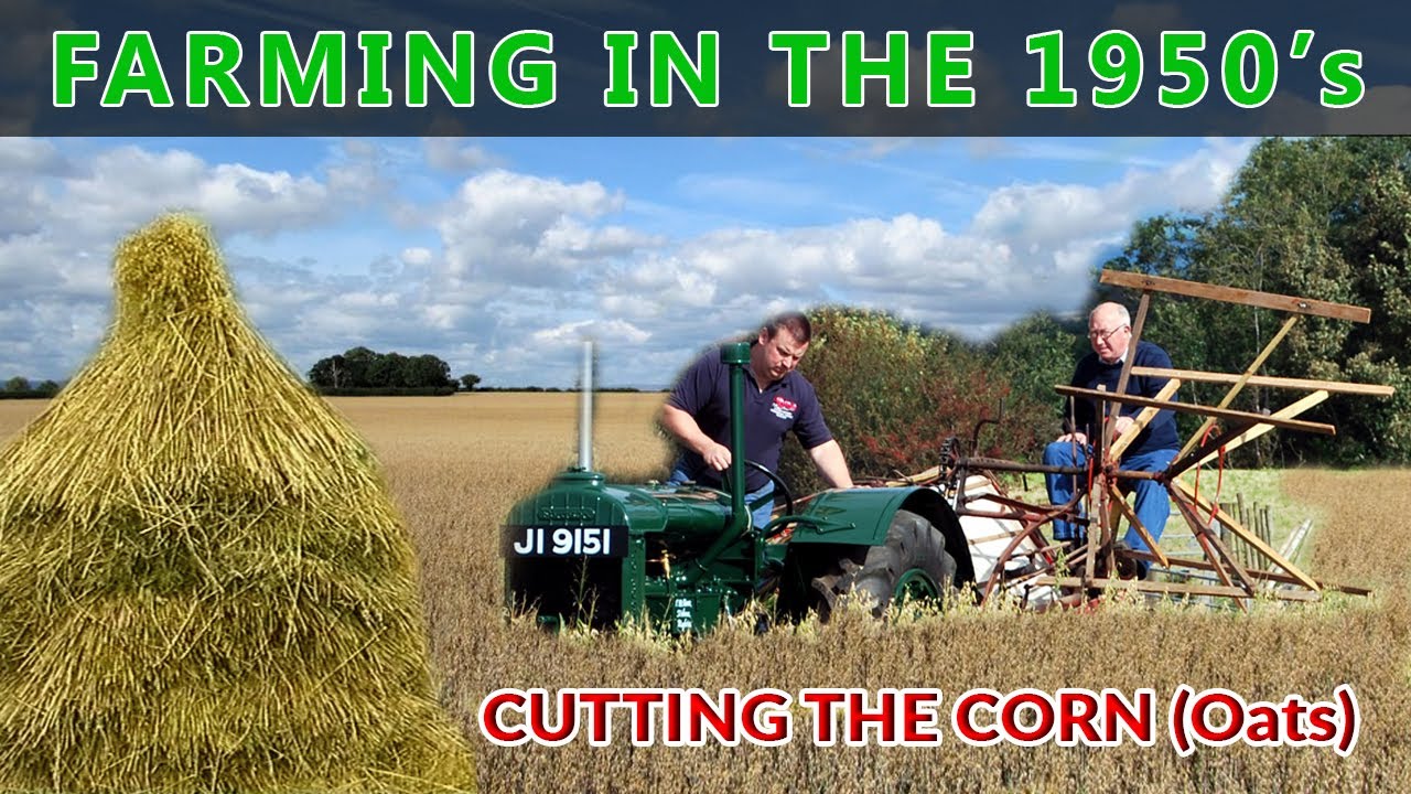 Farming In Ireland in the 1950s Growing Oats Farming Down the Years Part One YouTube