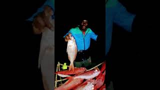 queen snapper fishing