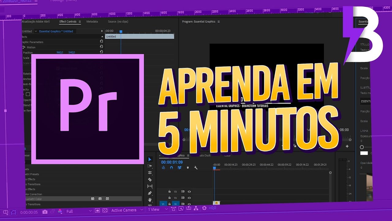 acción Susceptibles a estar impresionado APRENDA COMO EDITAR NO ADOBE PREMIERE em 5 MINUTOS - Tutorial para  Iniciantes - YouTube