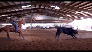 Jake Smith's Horse Hoot